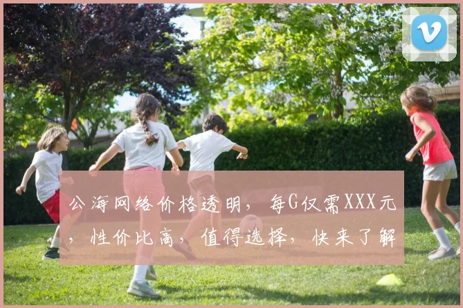 公海网络价格透明，每G仅需XXX元，性价比高，值得选择，快来了解