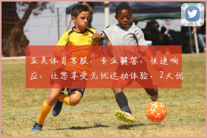 亚美体育客服，专业解答，快速响应，让您享受无忧运动体验，2大优势，不容错过